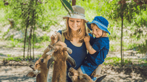 Zoo guests enjoying visit