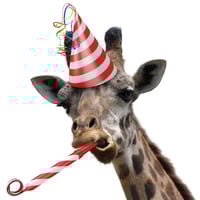 Event Management Giraffe